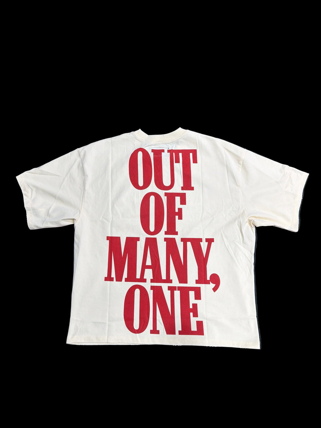 God speed “out of many, one” tee