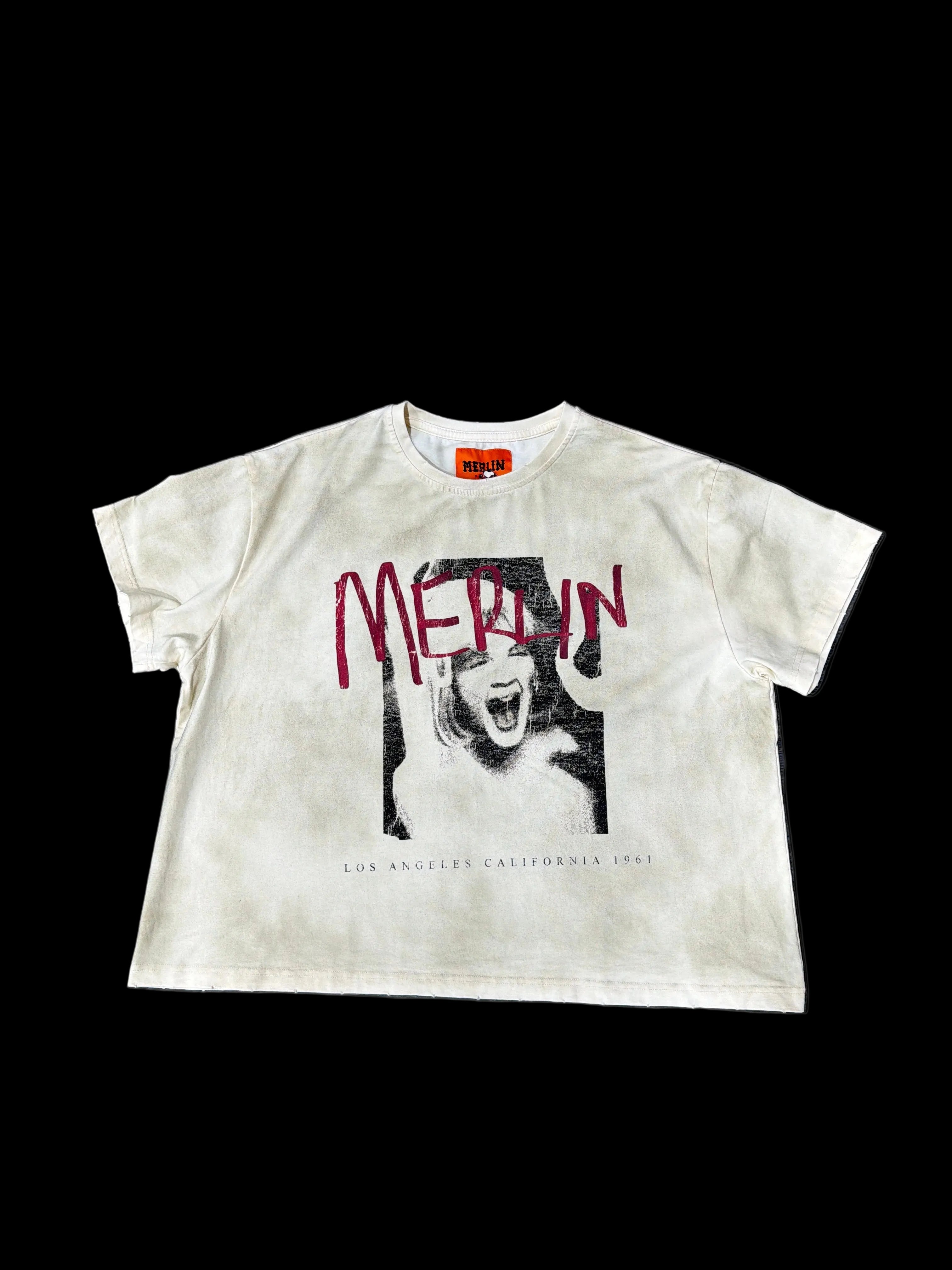 Merlin-father graphic tee